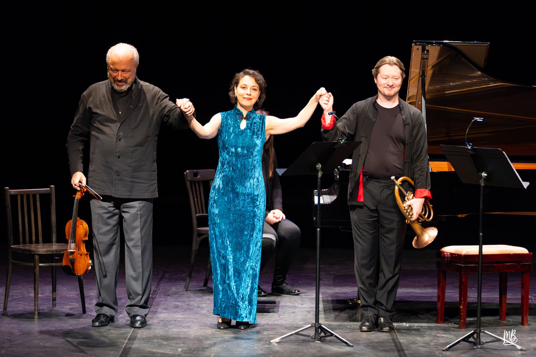 Festival Vibration(s) - Mac Bischwiller